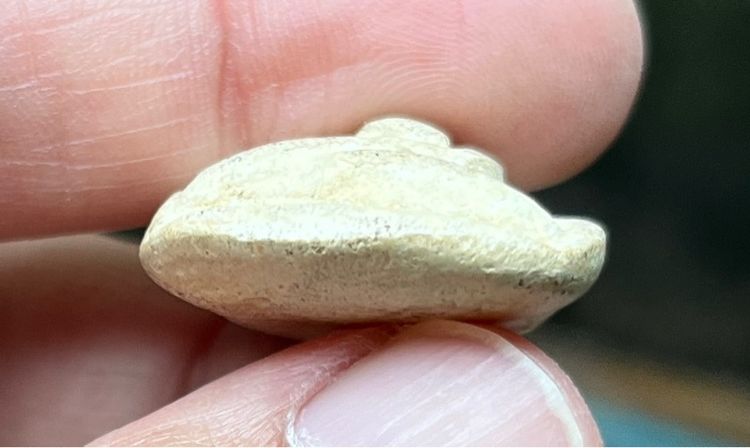 พระวัดพลับ รูปที่ 4