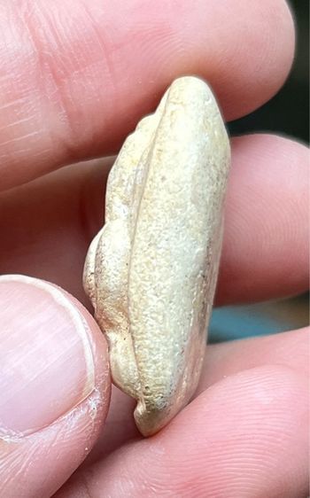 พระวัดพลับ รูปที่ 5