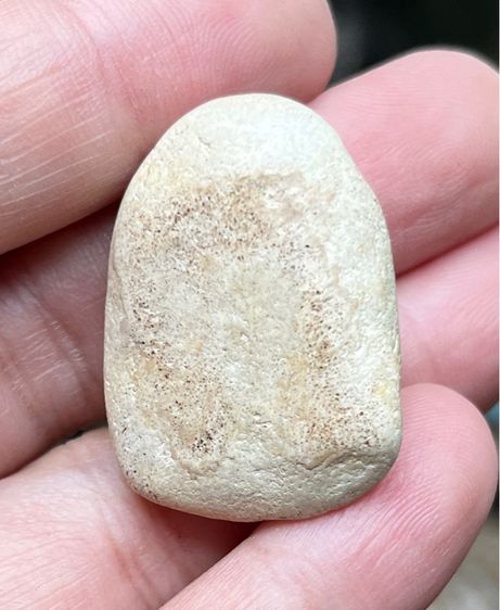 พระวัดพลับ รูปที่ 2