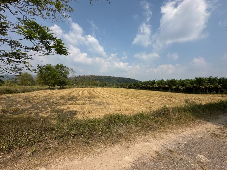 ใช่ ขายที่ดิน เนื้อที่ 13-2-31.5 ไร่ ตำบลสาริกา อำเภอเมือง จังหวัดนครนายก รูปที่ 2