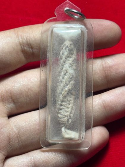 ตะกรุด 1 ดอก พ่อท่านแกน วัดทุ่งหล่อ