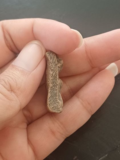 พระผงสุพรรณหน้าแก่ รูปที่ 4