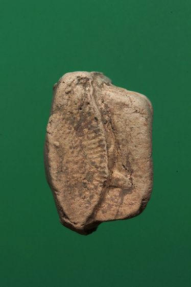 พระกรุค่ะ รูปที่ 5