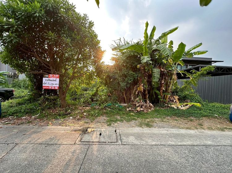 ขายที่ดิน 168 ตารางวา ราคาถูก ถนนลำลูกกา ซอย.5 (ซอยย่อยจามร 26 ก) รูปที่ 2