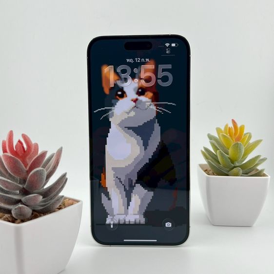 ✨iPhone 14 Pro Max 256GB 🎉 รหัสสินค้า PH262 🎉