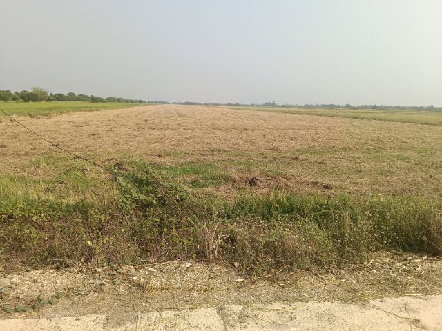 ขายที่ดิน รูปที่ 4