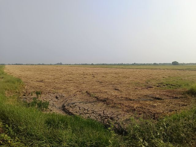 ขายที่ดิน รูปที่ 2