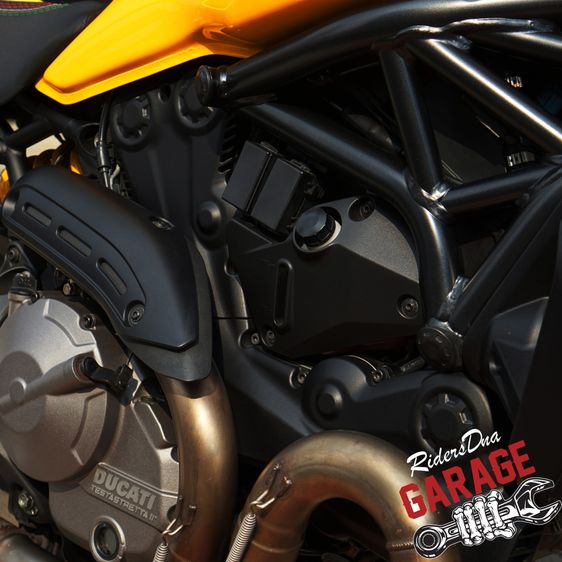 DUCATI MONSTER PYTHON YELLOW PERFORMANCE 821 2020 รูปที่ 15