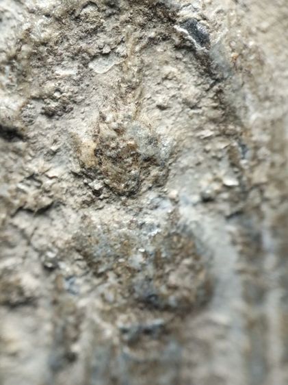 พระสมเด็จปิลันท์ครับ รูปที่ 6