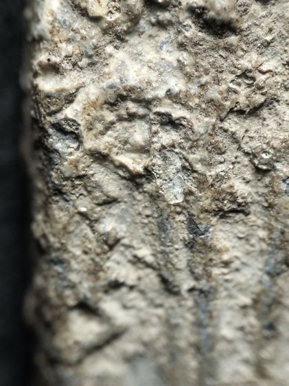 พระสมเด็จปิลันท์ครับ รูปที่ 8