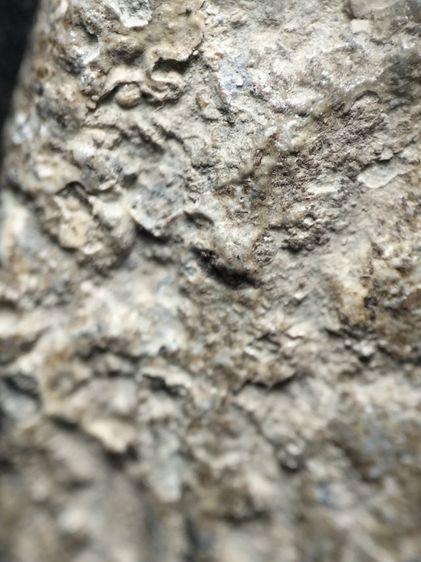 พระสมเด็จปิลันท์ครับ รูปที่ 5