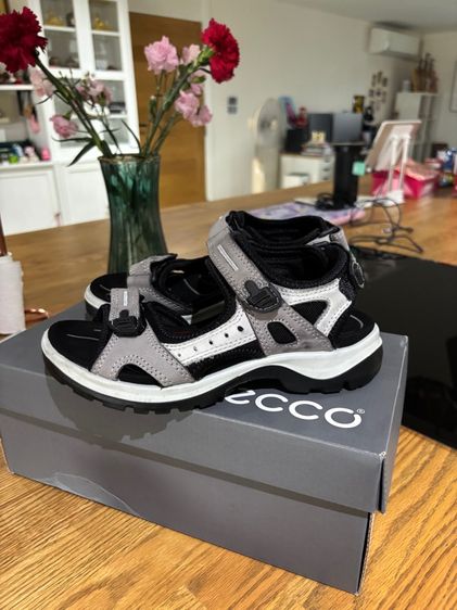 รองเท้ารัดส้น รูปที่ 2