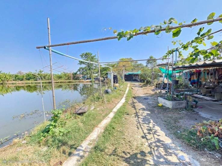 ขายด่วนที่ดิน แปลงใหญ่  บางเสาธง   สมุทรปราการ ติดถนนสาธารณะ แบ่งขายได้ รูปที่ 4