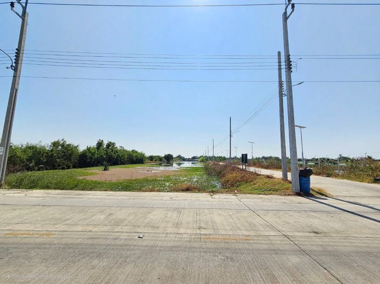 ขายด่วนที่ดิน แปลงใหญ่  บางเสาธง   สมุทรปราการ ติดถนนสาธารณะ แบ่งขายได้