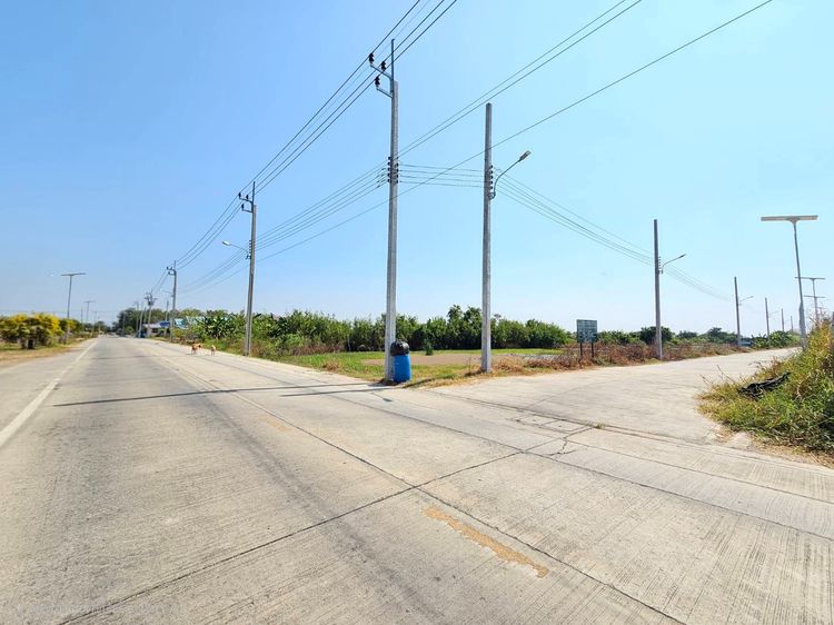 ขายด่วนที่ดิน แปลงใหญ่ บางเสาธง สมุทรปราการ ติดถนนสาธารณะ แบ่งขายได้ รูปที่ 2