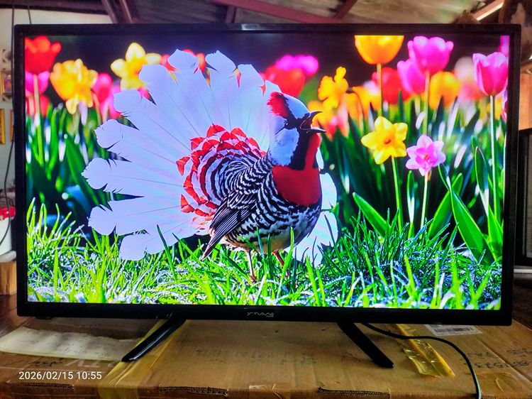  ขาย ทีวี Digital TV Nano LTV-3202 พร้อมรีโมท รูปที่ 7