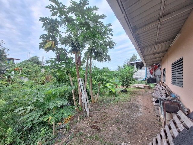 อื่นๆ มีบางส่วน 2016 ใช่ ขายบ้าน 2 ชั้น ร้านค้า 1 หลัง อยู่ใกล้โรงเรียนเขาท่าพระ รูปที่ 2