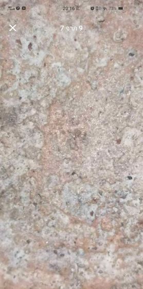 พระสมเด็จวัดระฆัง พิมพ์เจดีย์  รูปที่ 6