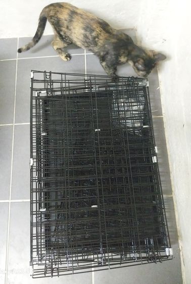 กรงแมวพับได้ รูปที่ 7