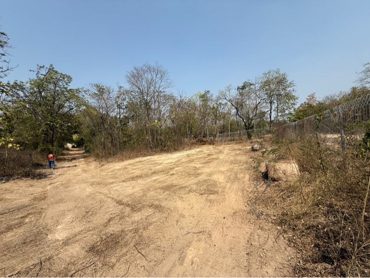 ขายที่ดิน 73 ตรว.เขาทางวัดเขาถ้ำ รูปที่ 2