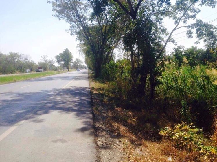 ใช่ ขายที่ดินติดถนนทางหลวง 117 รูปที่ 4