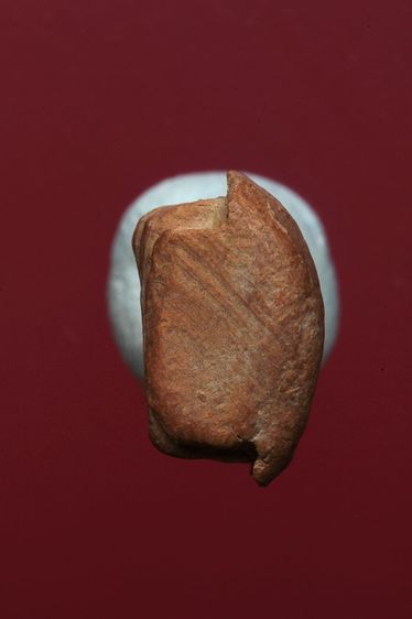 พระรอดลำพูนสวยๆค่ะเก่าค่ะ รูปที่ 5