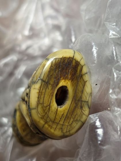 เสืออ้าปากมหาอำนาจ เก่าสวย รูปที่ 5