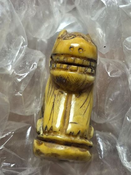 เสืออ้าปากมหาอำนาจ เก่าสวย รูปที่ 4