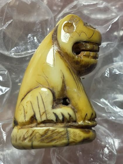 เสืออ้าปากมหาอำนาจ เก่าสวย