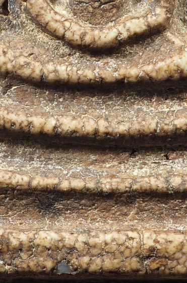 พระสมเด็จวัดระฆัง พิมพ์ใหญ่ สวยมาก รูปที่ 9