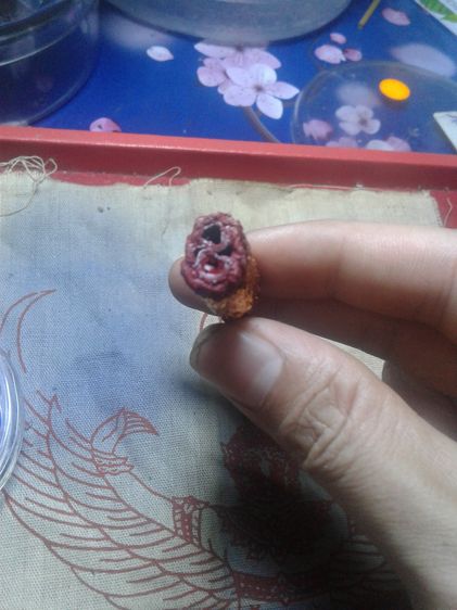 ตะกรุดสาริกา หลวงพ่อจำลอง