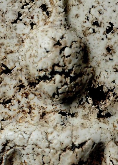 พระสมเด็จวัดระฆัง รูปที่ 3