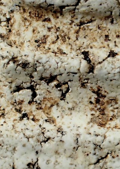 พระสมเด็จวัดระฆัง รูปที่ 8