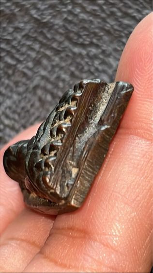 พระเก่าๆที่บ้านของทวดคะแบ่งให้บูชาคะ รูปที่ 6