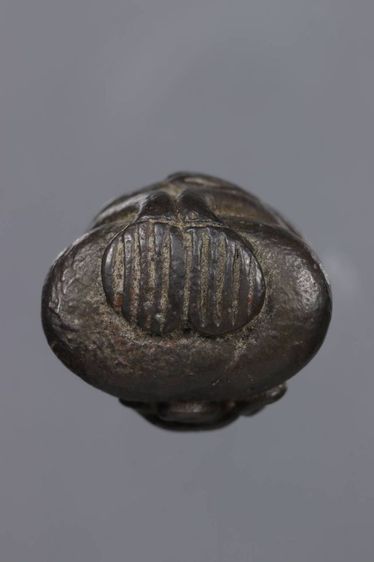 พระเครื่อง รูปที่ 5