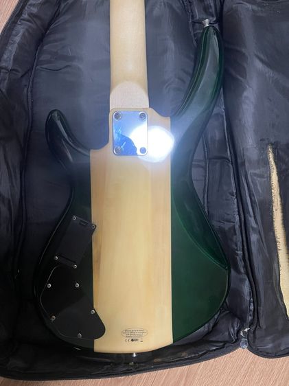 เบส4สาย รูปที่ 9