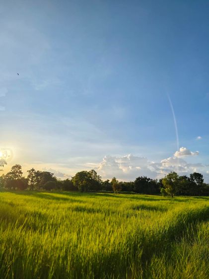 ขายด่วนที่ดิน 18-2-84 ตร.ว. ตัวเมืองชัยภูมิ ทำเลดีเยี่ยม ลดจาก 25 เหลือ 17 ล้านบาท ลดไป 32 เปอร์เซ็นต์ ถูกที่สุดในทำเลนี้ รูปที่ 3