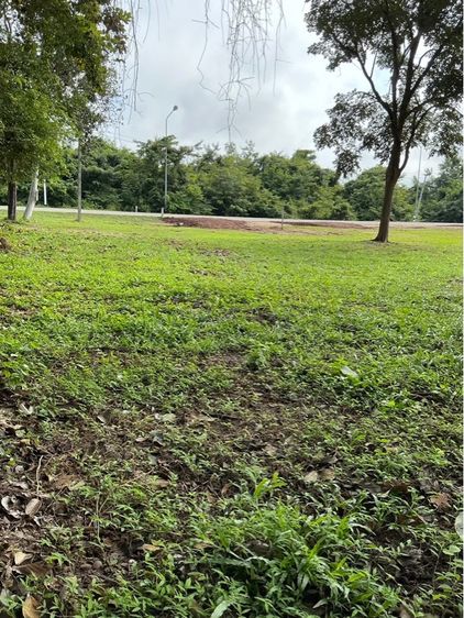 ใช่ ที่ดินใกล้ 7 อีเลฟเว่น ติดถนนหลวง จัดไป รูปที่ 4