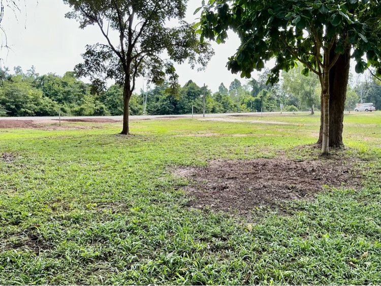 ใช่ ที่ดินใกล้ 7 อีเลฟเว่น ติดถนนหลวง จัดไป รูปที่ 3