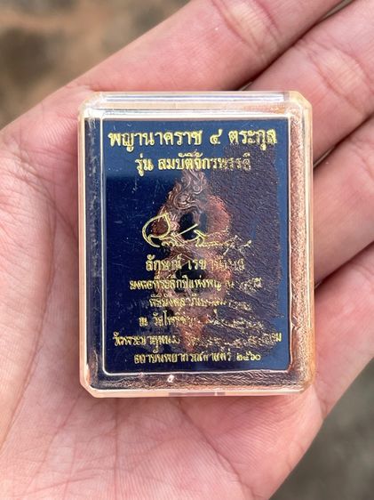 นาค 4 ตระกูล อ.ลักษณ์ เรขานิเทศ รูปที่ 3