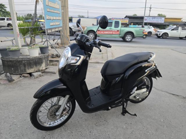 ขายด่วน honda scoopy ปี 2019 รูปที่ 3