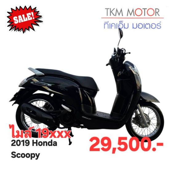 ขายด่วน honda scoopy ปี 2019