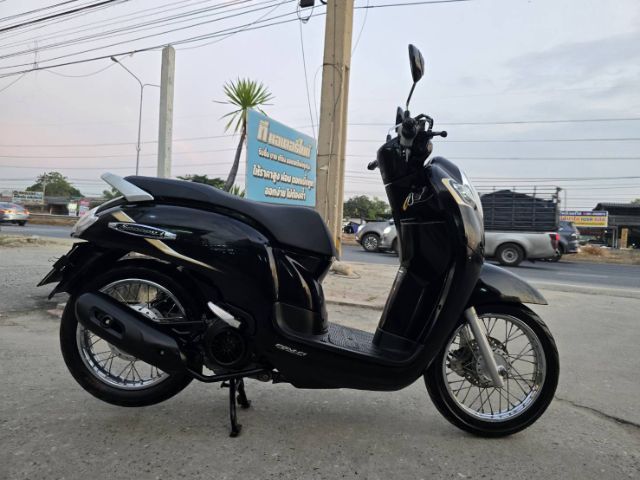 ขายด่วน honda scoopy ปี 2019 รูปที่ 5