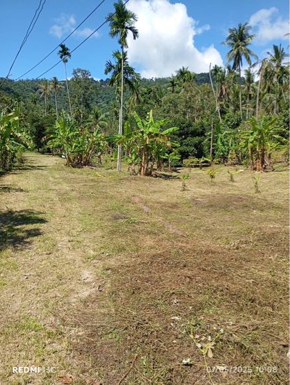 ใช่ ที่ดินเกาะสมุย ต.แม่น้ำ