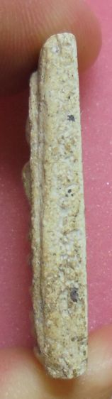 พระสมเด็จ วัดเกศไชโย รูปที่ 4