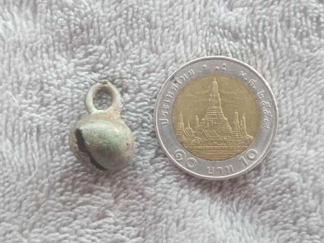 กระพรวน (สั่นมีเสียง) รูปที่ 13