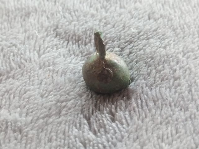 กระพรวน (สั่นมีเสียง) รูปที่ 11