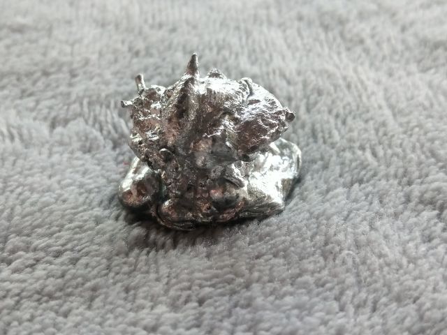 ช่อเงินยวง รูปที่ 6