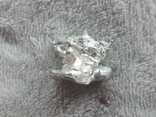 ช่อเงินยวง รูปที่ 10