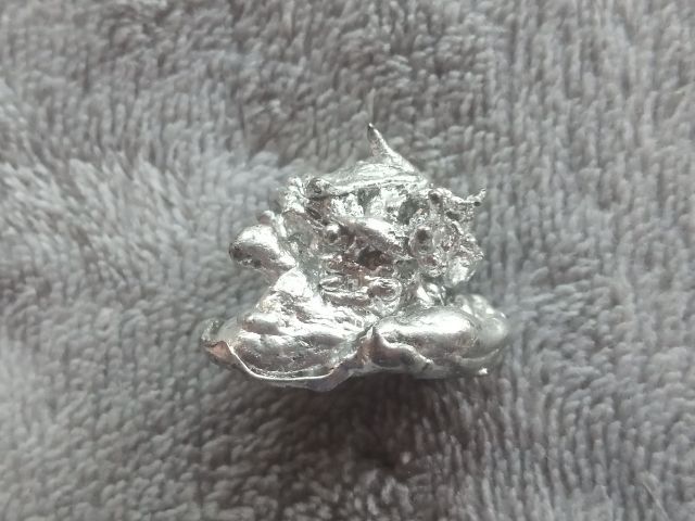 ช่อเงินยวง รูปที่ 11